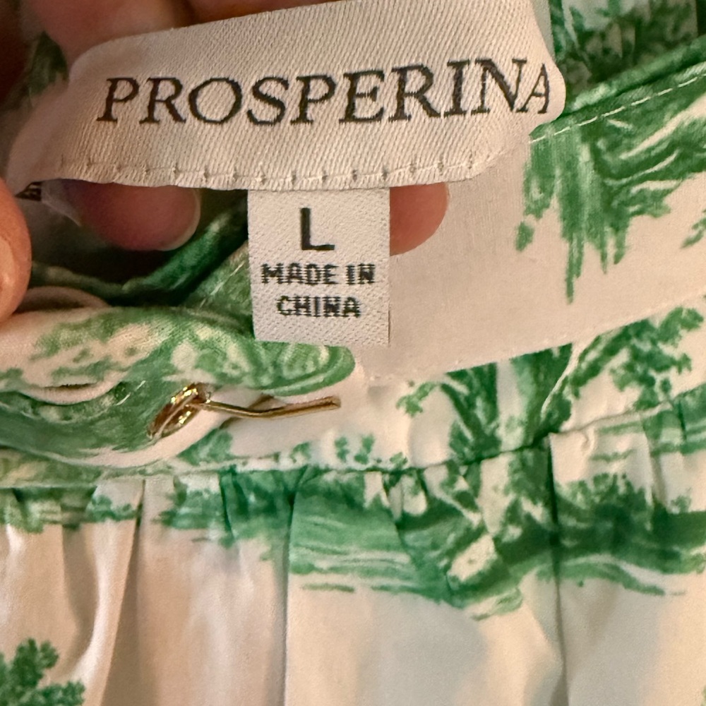 PRICE ⬇️ Green Toile Print Midi Skirt with Matching Belt - Picture 2 of 5